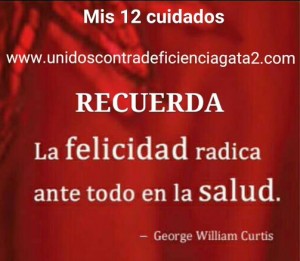 Mis 12 cuidados