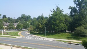día soleado en bethesda