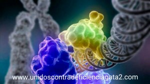 gen defectuoso gata2