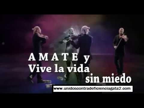 Amate y vive la vida sin miedo