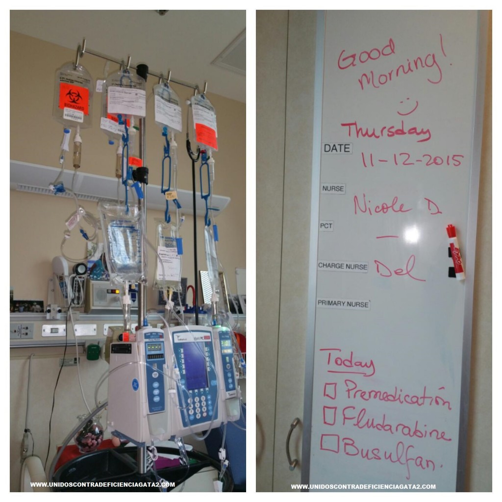 Combinación de medicamentos quimioterapéuticos