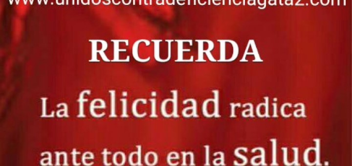 Mis 12 cuidados